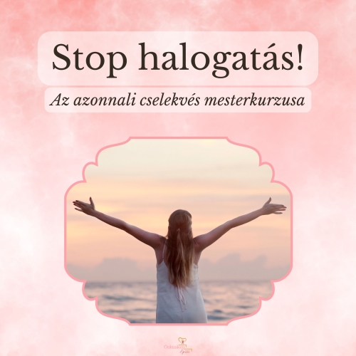 stop halogatás! mesterkurzus